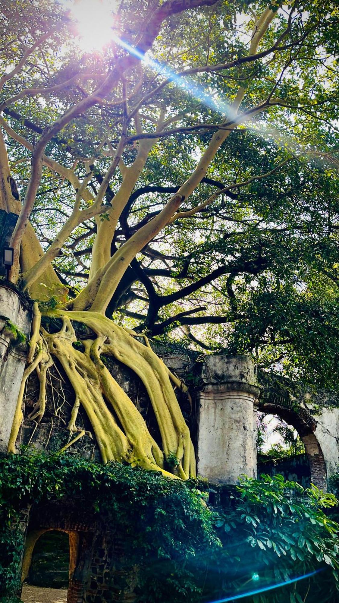 Hotel & Spa Hacienda De Cortes Cuernavaca Kültér fotó